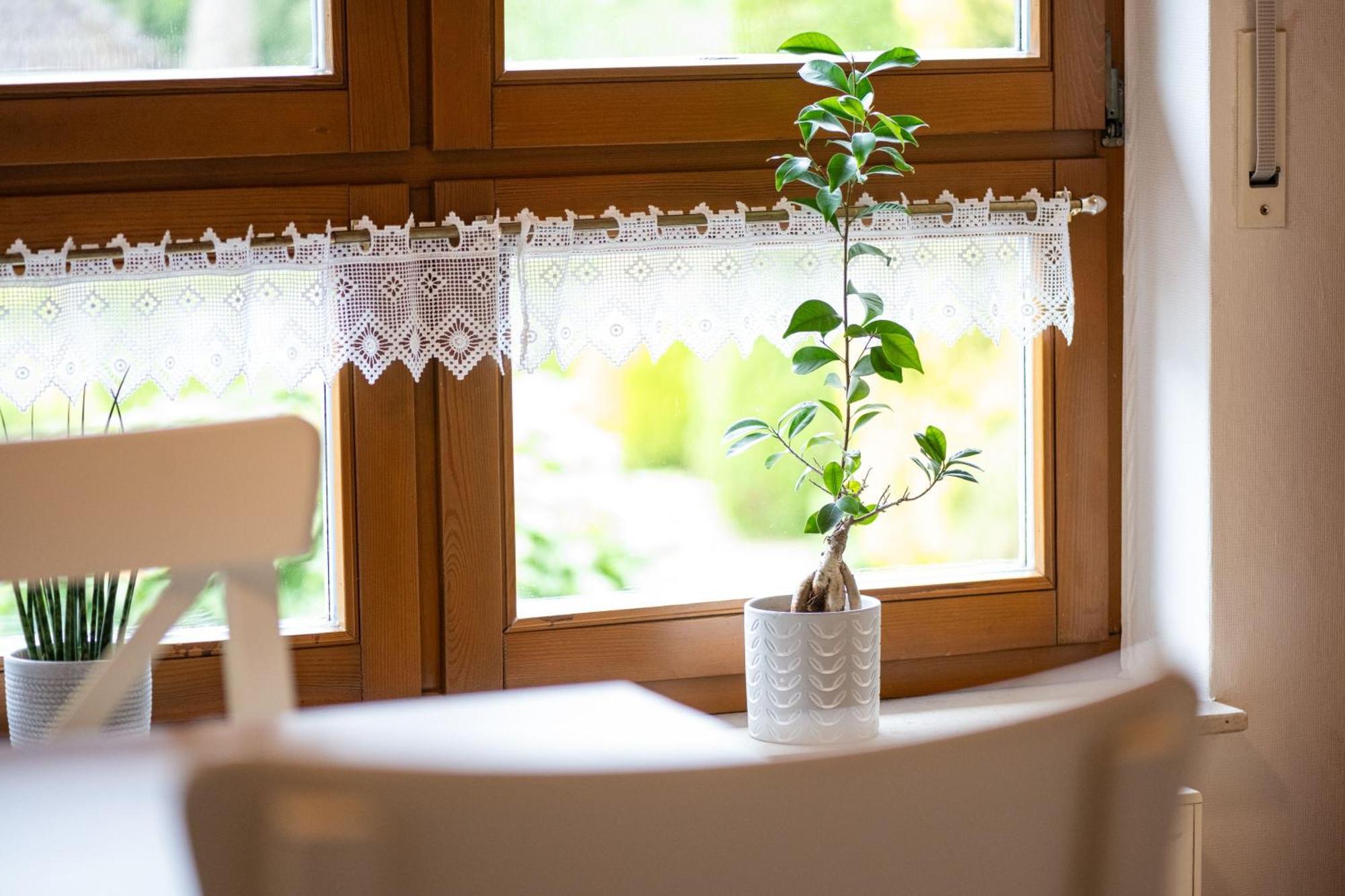 Ferienwohnung Pop S Huus 35226 Holtland Zewnętrze zdjęcie